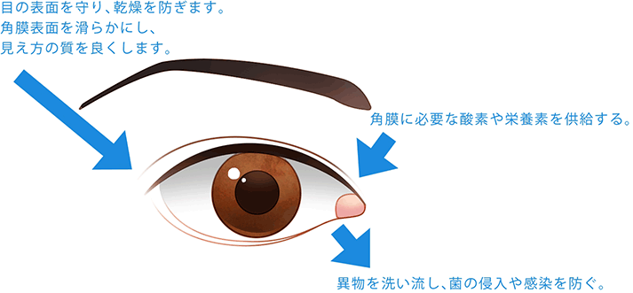 ドライアイについて 目の病気 聖母眼科 香川県坂出市